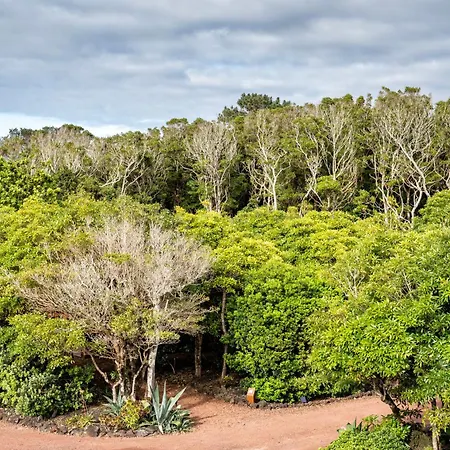 Alma Do Pico - Nature مادالينا