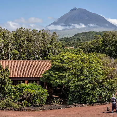 Alma Do Pico - Nature