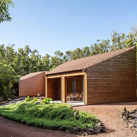 شقة فندقية Alma Do Pico - Nature مادالينا