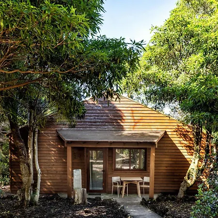 Alma Do Pico - Nature