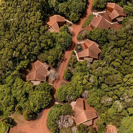 Alma Do Pico - Nature