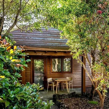 Alma Do Pico - Nature مادالينا