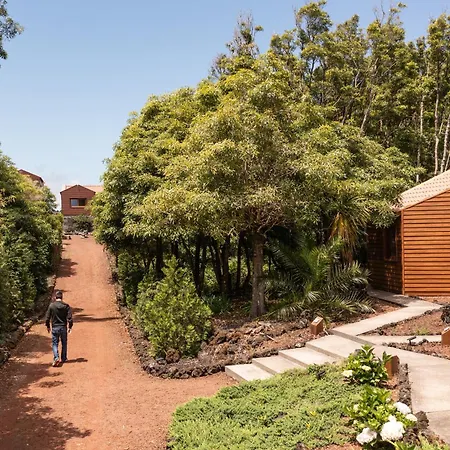 شقة فندقية Alma Do Pico - Nature