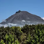 شقة فندقية Alma Do Pico - Nature مادالينا