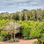 Alma Do Pico - Nature مادالينا