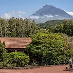 Alma Do Pico - Nature