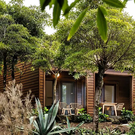 Alma Do Pico - Nature 2*