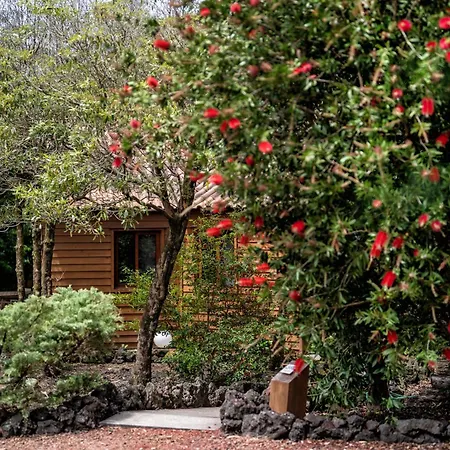 Alma Do Pico - Nature Appart hôtel