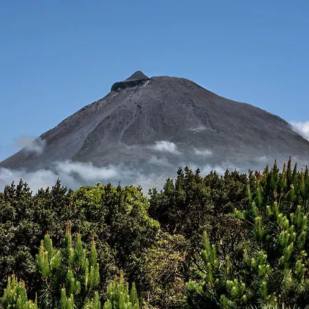 Ferienpark Alma Do Pico - Nature Madalena (Azores)