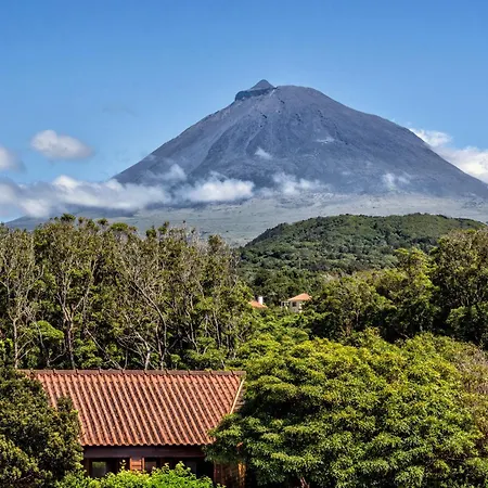 Alma Do Pico - Nature 4* Madalena (Azores)