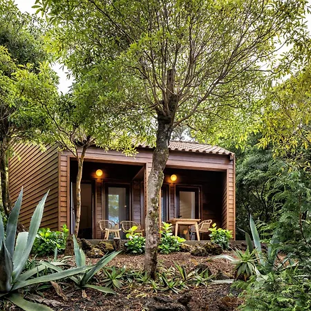 Alma Do Pico - Nature Appart hôtel Madalena (Azores)