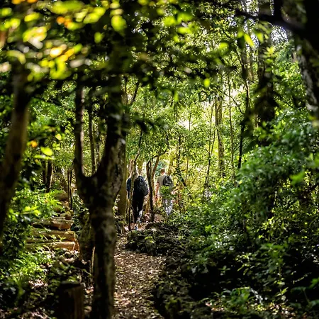 Alma Do Pico - Nature 4* Madalena (Azores)