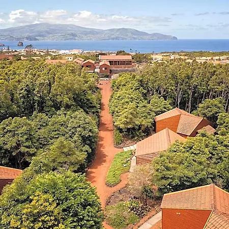 Ferienpark Alma Do Pico - Nature