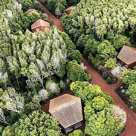 Alma Do Pico - Nature 4*