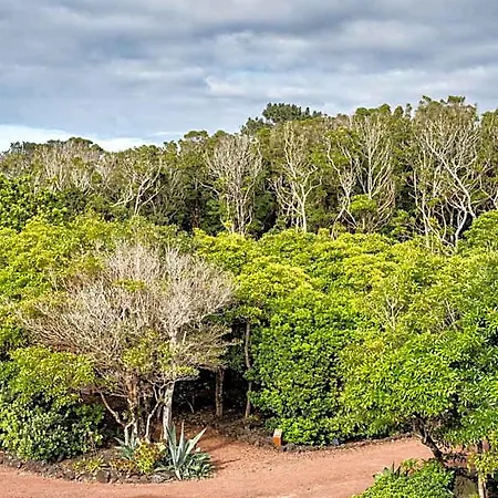 Ferienpark Alma Do Pico - Nature 4*