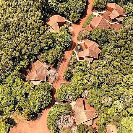 Alma Do Pico - Nature 4* Madalena (Azores)