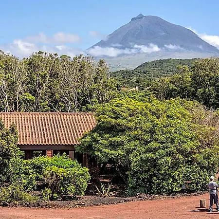 Holiday park Alma Do Pico - Nature 4*