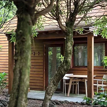 Alma Do Pico - Nature Tatil parkı