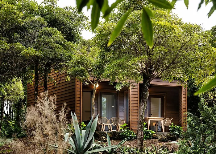 Alma Do Pico - Nature 2*