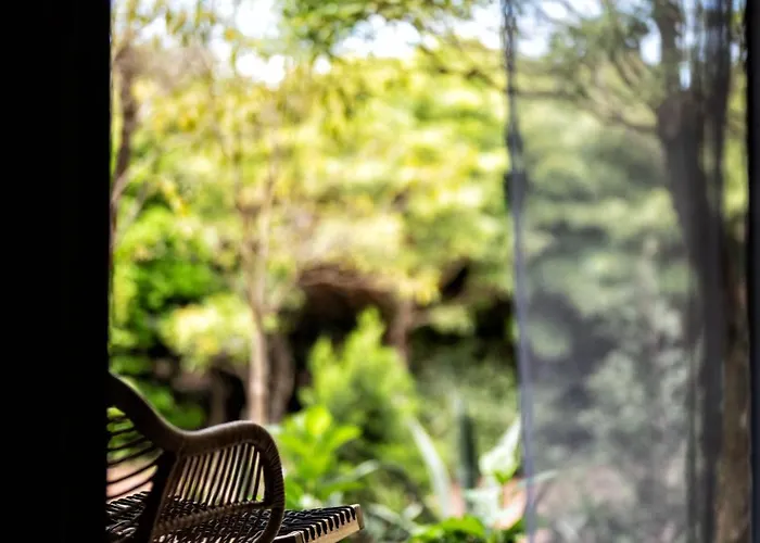 Aparthotel Alma Do Pico - Nature Madalena (Azores)