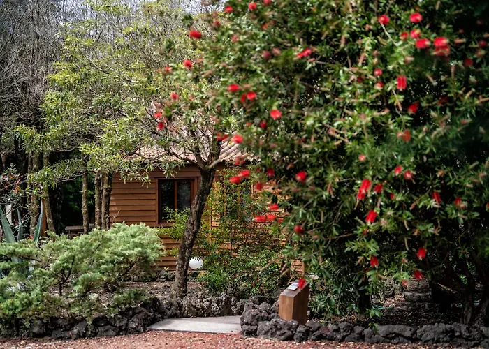 Alma Do Pico - Nature Appart hôtel