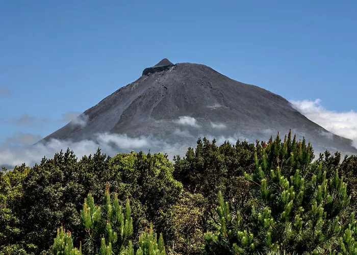 Aparthotel Alma Do Pico - Nature Madalena (Azores)