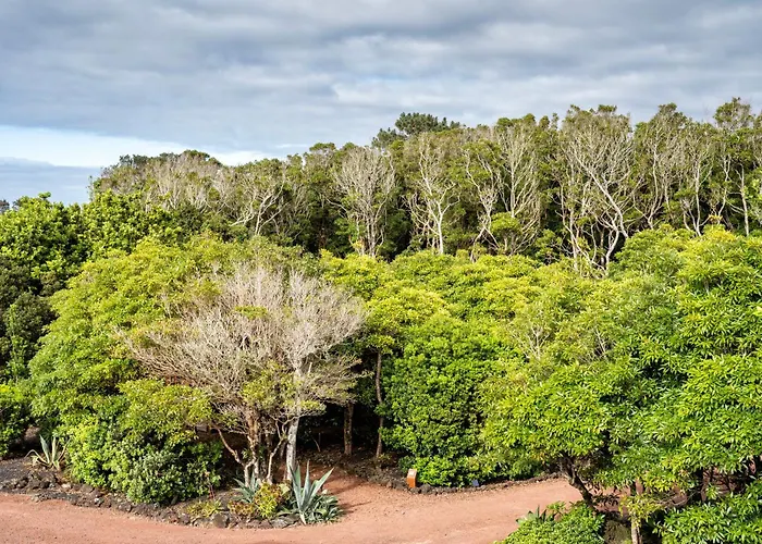 Alma Do Pico - Nature Madalena (Azores)