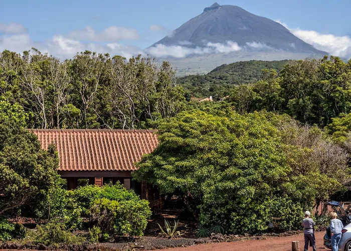 Alma Do Pico - Nature