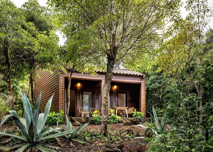 Alma Do Pico - Nature Aparthotel Madalena (Azores)