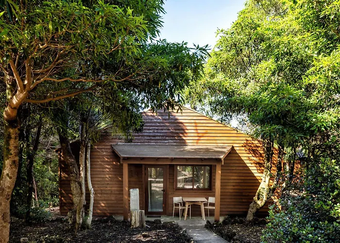 Alma Do Pico - Nature