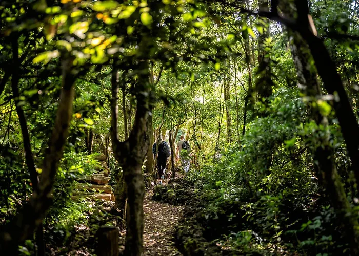 Alma Do Pico - Nature 2* Madalena (Azores)