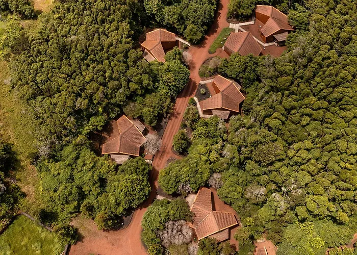 Alma Do Pico - Nature